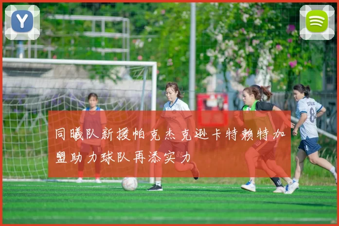 同曦队新援帕克杰克逊卡特赖特加盟助力球队再添实力